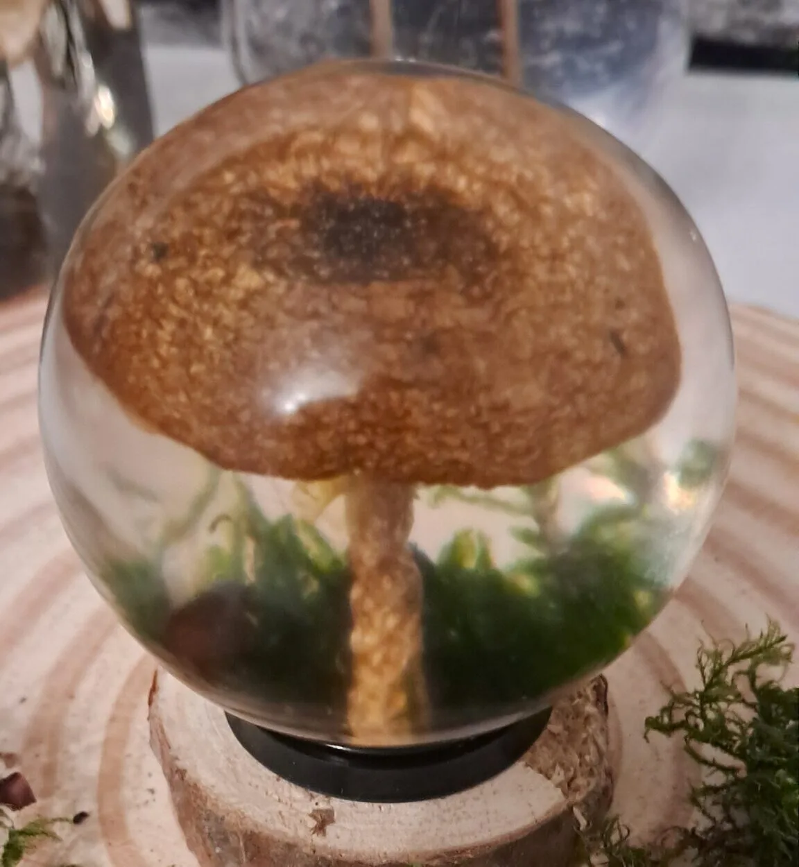 Resin Sphere with Preserved Forest Mushroom 55mm