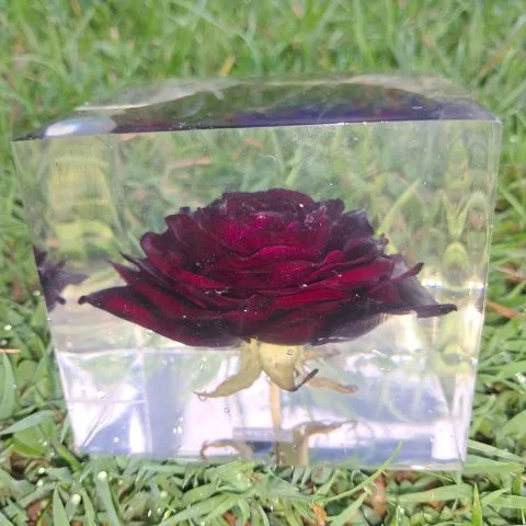 Epoxy Dark Red Rose