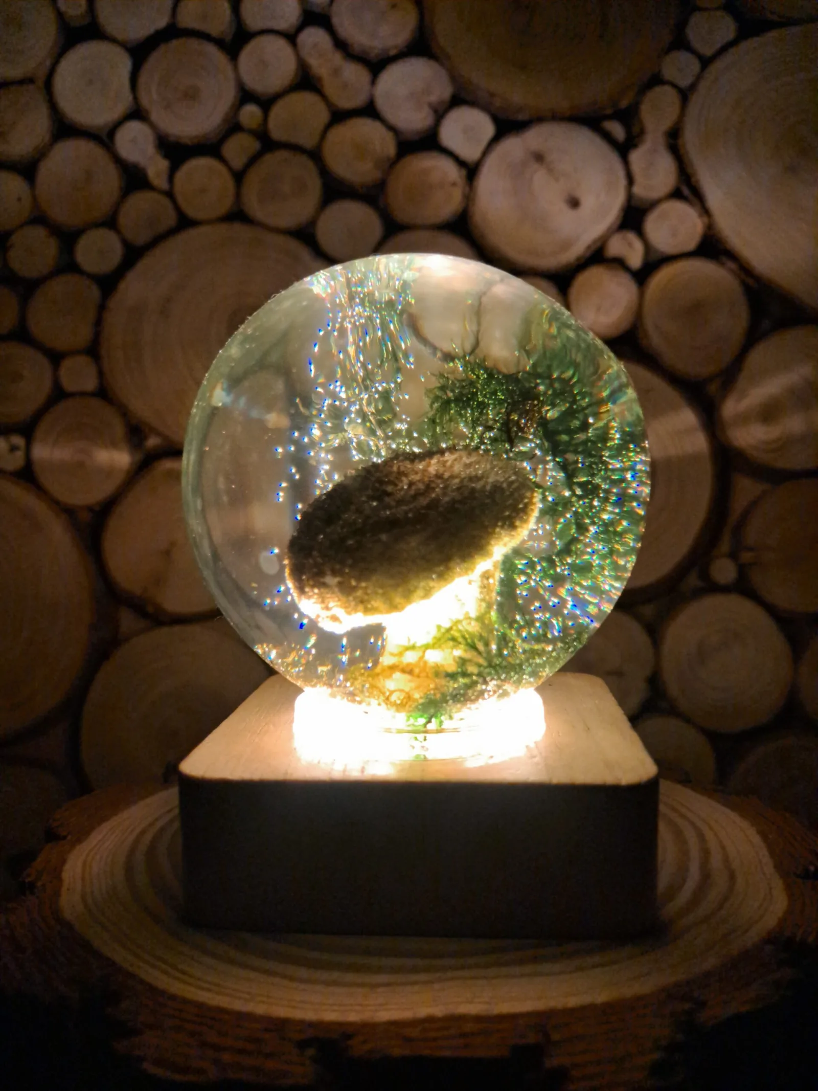Puffball Mushroom in Sphere 65mm