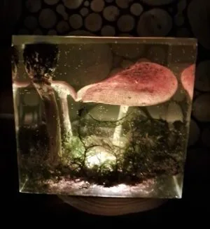 Forest Trio Resin XL Cube