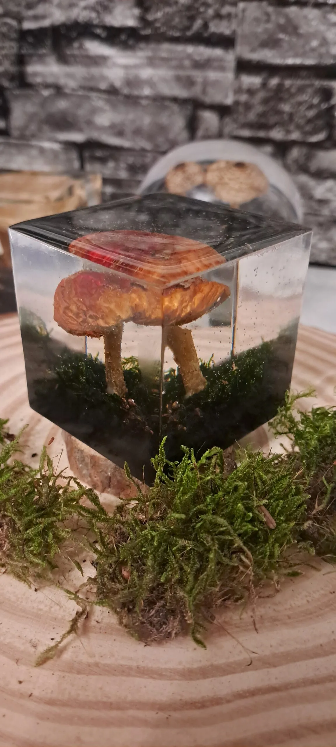 Amanita Muscaria in Resin Qube - 5cm
