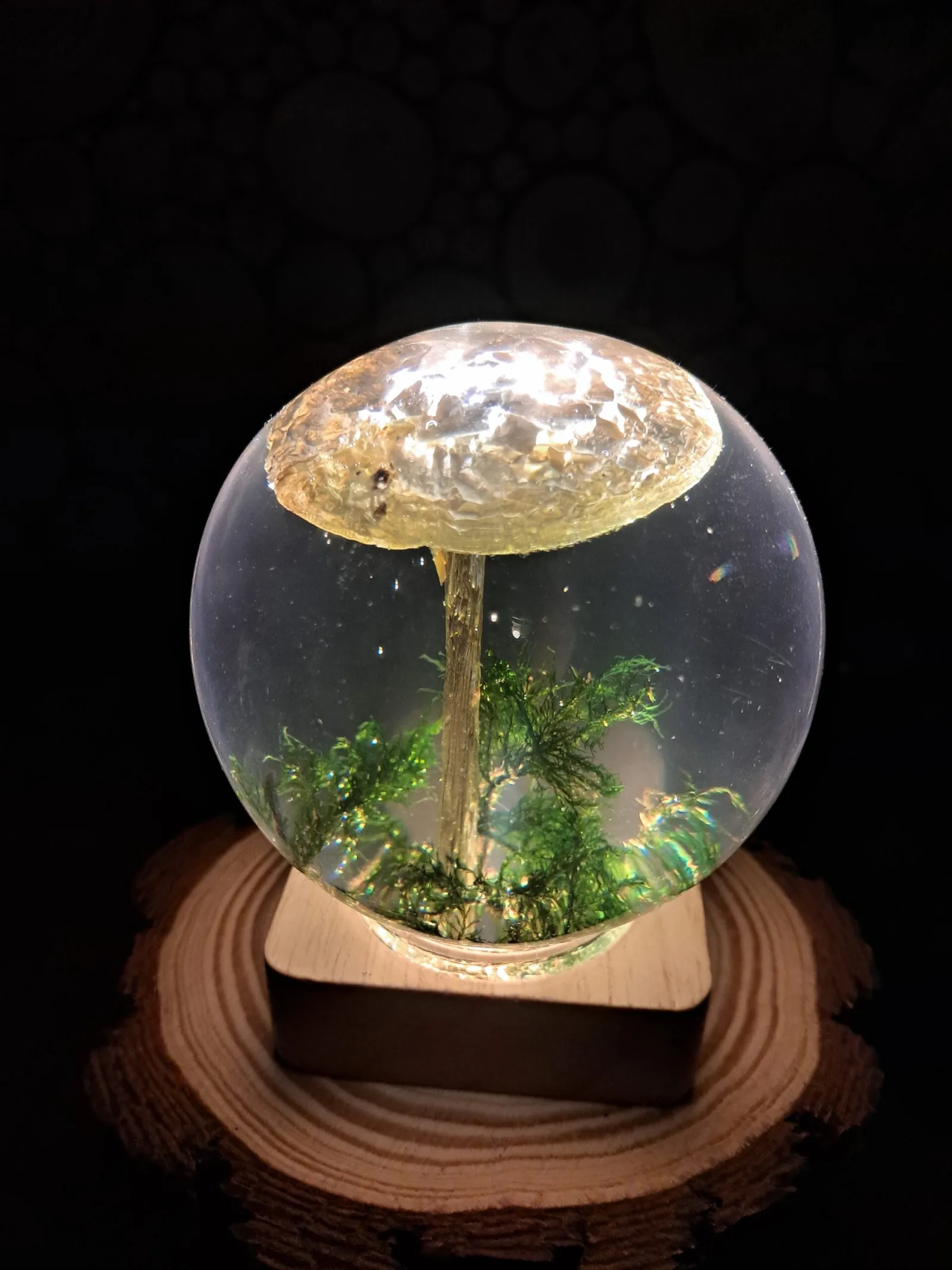 Death Cap Mushroom in Resin Sphere