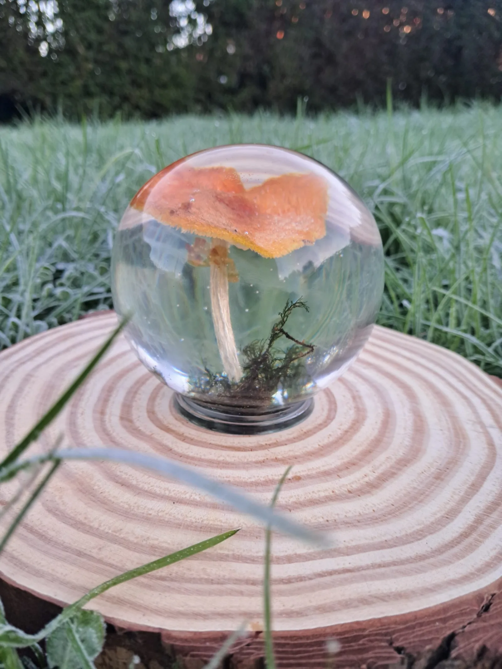Amanita Muscaria Lamp 80mm Sphere