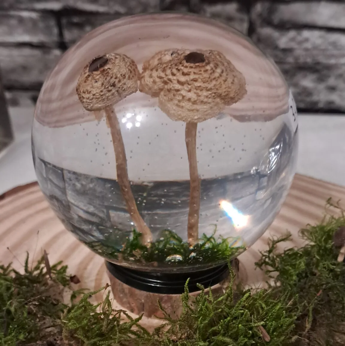 Forest Mushrooms in Moss - 80mm Resin Sphere with Built-In Stand