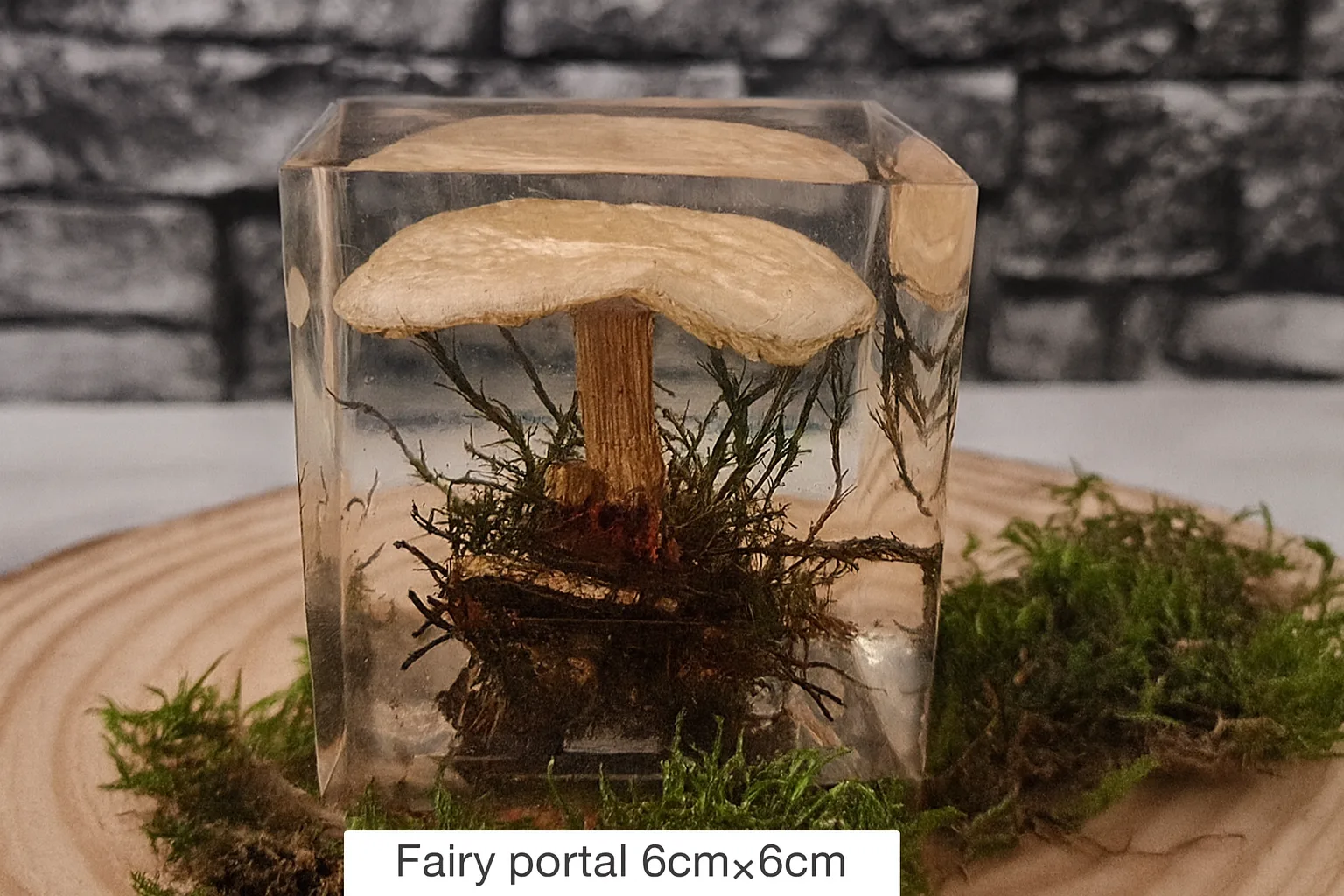 Fairy Portal Mushroom - 6cm Magic Resin Cube